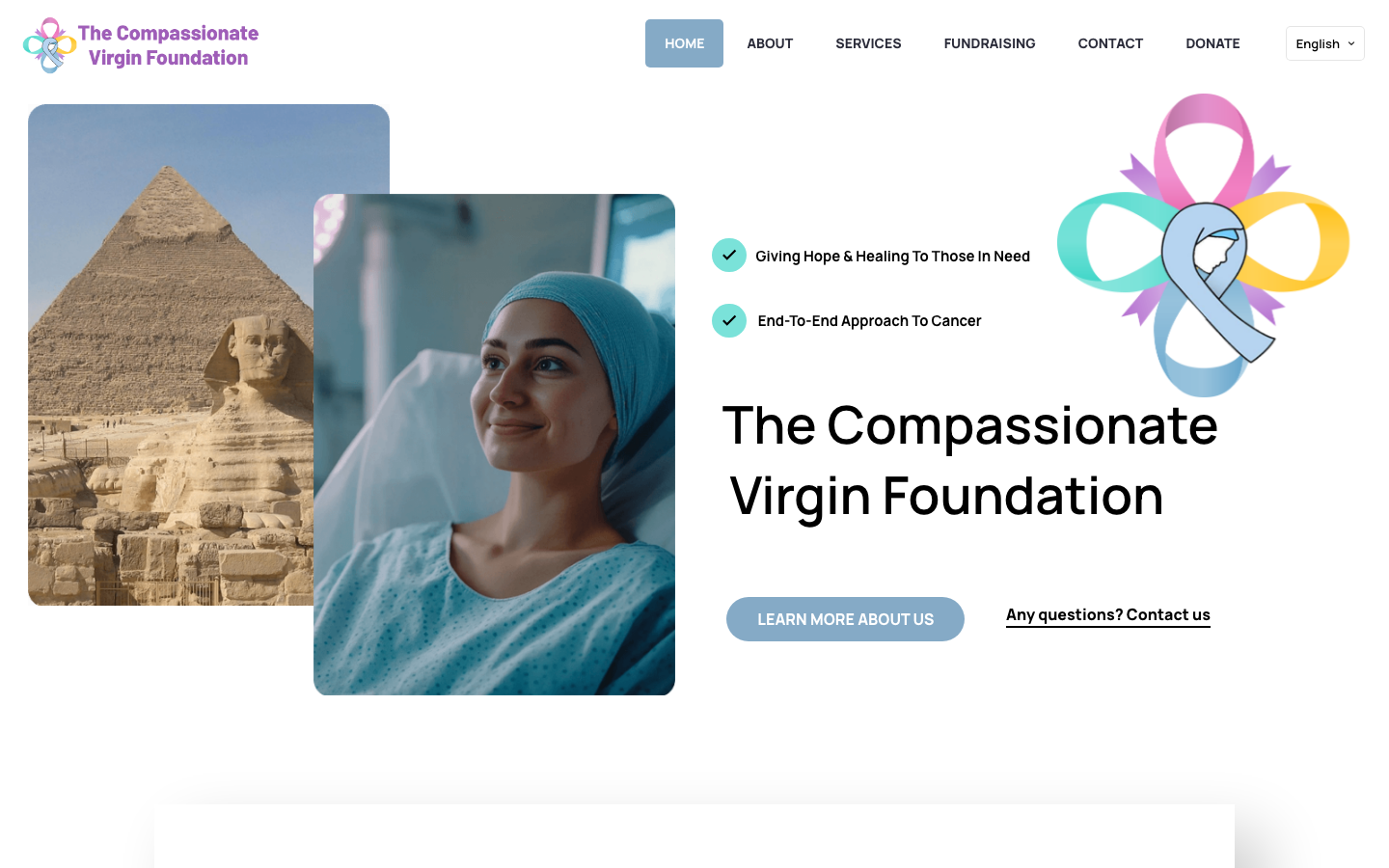 CVF Egypt homepage